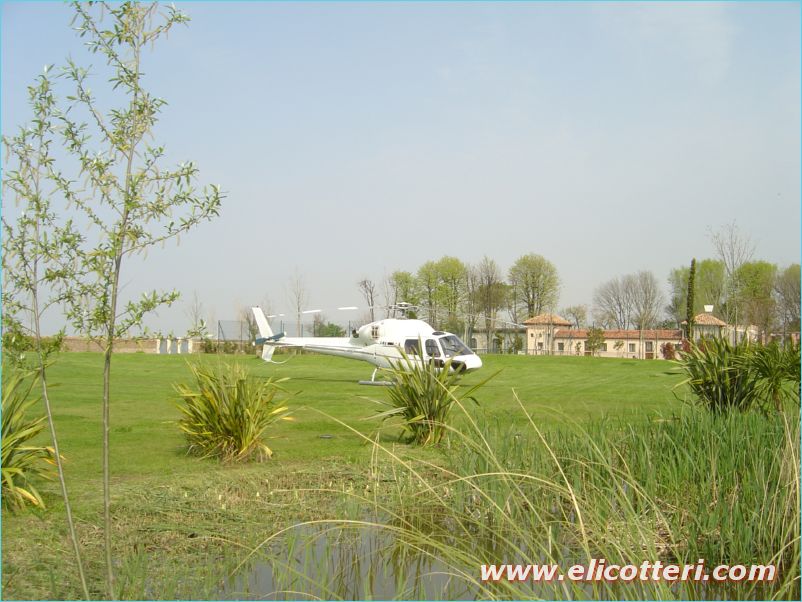 elifoto (68)